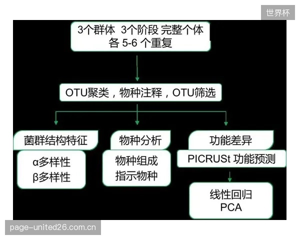 基于群体经验的通用训练方案正在被淘汰,取而代之的是基于个体生物力学特征的“一人一策”风险规避计划 基于群体经验的通用训练方案正在被淘汰,取而代之的是基于个体生物力学特征的“一人一策”风险规避计划